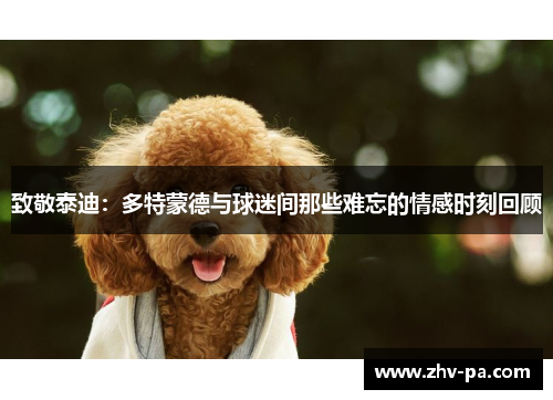 致敬泰迪：多特蒙德与球迷间那些难忘的情感时刻回顾